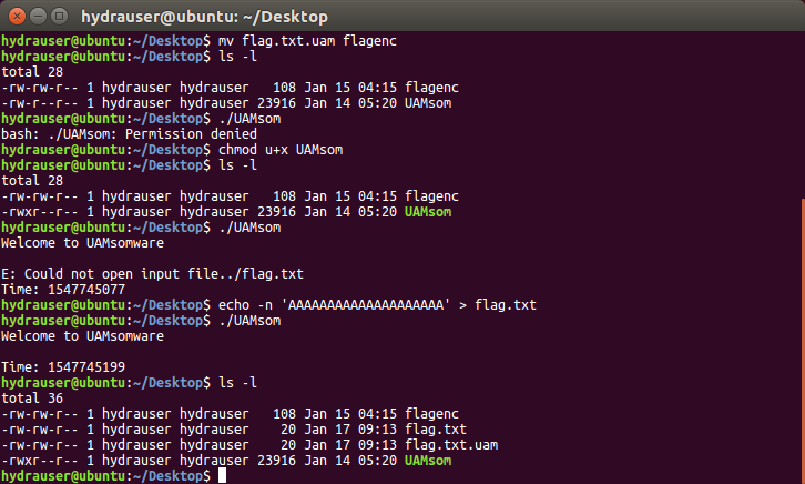 Terminal después del segundo grupo de comandos