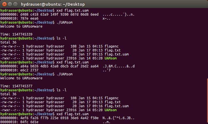 Terminal después del tercer grupo de comandos