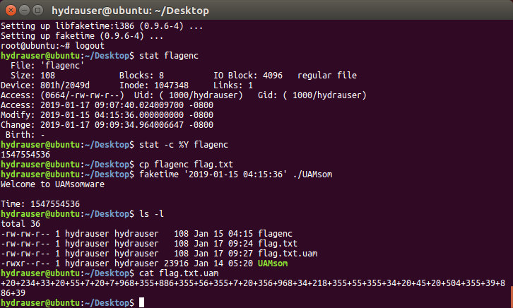 Terminal después del grupo final de comandos